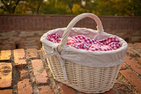 Picnic Basket