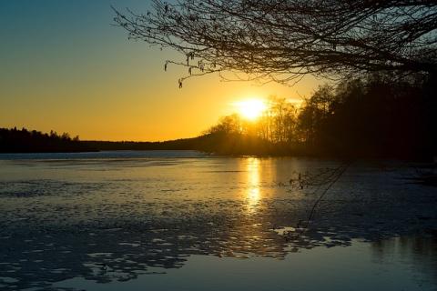 Sunset on water with tree