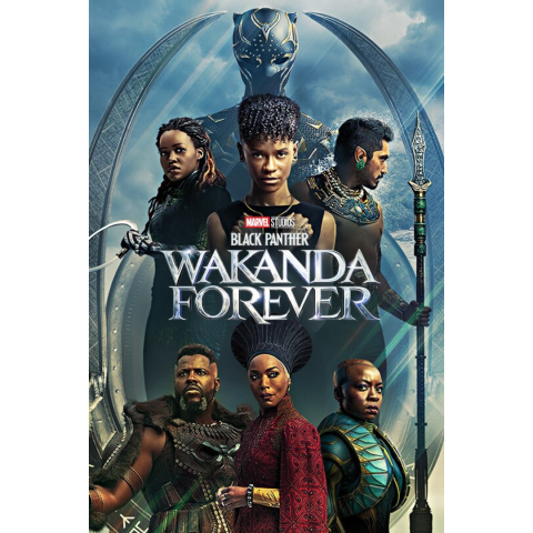 Black Panther Wakanda Forever movie poster