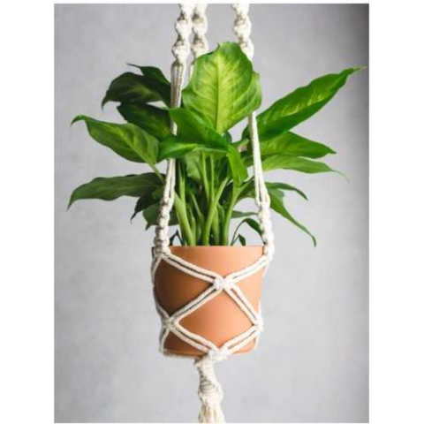 macrame plant holder