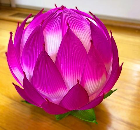 lotus Flower Lantern