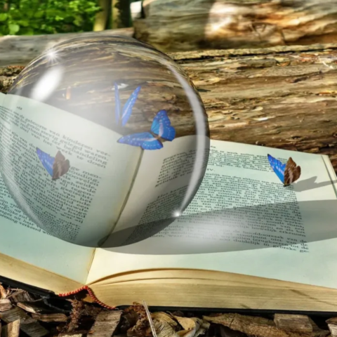 Open book with butterflies and crystal ball.