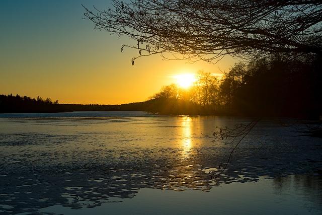 Sunset on water with tree